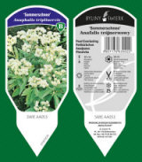 BYLINY-ŚWIERK planteskole stauder græsser bregner Polen 06